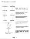 Fig. 02 - COMPOSITIONS AND METHODS RELATING TO BLOOD-BASED BIOMARKERS OF BREAST CANCER