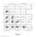 Fig. 13 - Method for Detecting an Increased Risk or Incidence of Colorectal Cancer