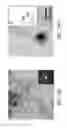 Fig. 40 - Methods of fabricating pillared graphene nanostructures