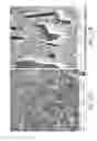 Fig. 45 - Methods of fabricating pillared graphene nanostructures
