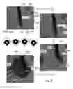 Fig. 06 - Substrate loading in an ALD reactor