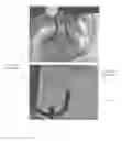 Fig. 04 - HYDROGEN PRODUCTION