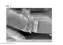 Fig. 03 - Self-Cleaning and Superhydrophobic Surfaces Based on TIO2  Nanotubes