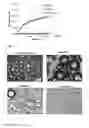 Fig. 04 - Method for producing nanofibrillar cellulose