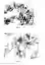 Fig. 05 - Method for forming a subsequently drying a composite comprising a nanofibrillated polysaccharide