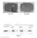 Fig. 06 - Vacuum insulating glass (VIG) unit with metallic peripheral edge seal and/or methods of making the same