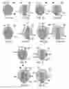 Fig. 06 - Cutters for drill bits
