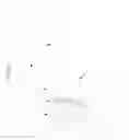 Fig. 13 - Gravity drain valve