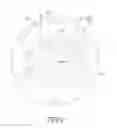 Fig. 09 - Light Emitting Device and an Optical Element Used Therein