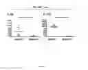 Fig. 05 - Methods for determining the risk of acute graft versus host disease