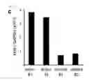 Fig. 04 - Method of screening modulator of XKR8