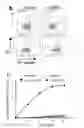 Fig. 14 - Method of screening modulator of XKR8
