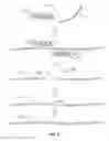 Fig. 04 - MODELS FOR PARKINSON'S DISEASE STUDIES
