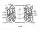 Fig. 05 - MODELS FOR PARKINSON'S DISEASE STUDIES