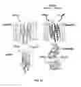 Fig. 20 - MODELS FOR PARKINSON'S DISEASE STUDIES
