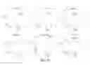 Fig. 18 - NON-B-LINEAGE CELLS CAPABLE OF PRODUCING ANTIBODY