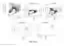Fig. 36 - NON-B-LINEAGE CELLS CAPABLE OF PRODUCING ANTIBODY