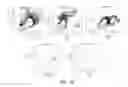 Fig. 37 - NON-B-LINEAGE CELLS CAPABLE OF PRODUCING ANTIBODY