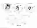 Fig. 41 - NON-B-LINEAGE CELLS CAPABLE OF PRODUCING ANTIBODY