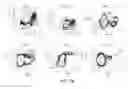 Fig. 43 - NON-B-LINEAGE CELLS CAPABLE OF PRODUCING ANTIBODY