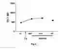 Fig. 05 - METHOD FOR RECOGNITION OF A PRESENCE OF AN INFECTION WITH CMV