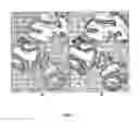 Fig. 02 - Antibody cocktail