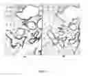 Fig. 07 - Antibody cocktail