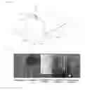 Fig. 02 - Preparing method for thin polarizer, thin polarizer and polarizing plate comprising the same