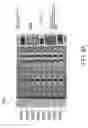 Fig. 09 - Modular optical backplane and enclosure