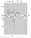 Fig. 01 - Liquid crystal display and manufacturing method thereof