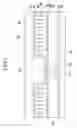 Fig. 05 - Liquid crystal display and manufacturing method thereof