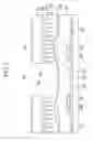 Fig. 06 - Liquid crystal display and manufacturing method thereof