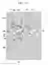 Fig. 15 - Liquid crystal display and manufacturing method thereof