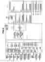 Fig. 06 - Image forming apparatus