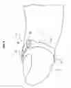 Fig. 07 - OPERATING DEVICE FOR CONTROLLING A MEDICAL APPARATUS