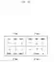 Fig. 08 - METHOD FOR SELECTING A CHARACTER ASSOCIATED WITH A KEY IN AN ELECTRONIC DEVICE