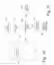Fig. 07 - A METHOD AND A TECHNICAL EQUIPMENT FOR ANALYSING MESSAGE CONTENT