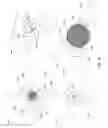 Fig. 09 - External access to memory on an RFID tag