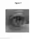 Fig. 06 - AUTHENTICATION METHOD USING MULTI-FACTOR EYE GAZE