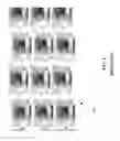 Fig. 09 - Printing an image on a substrate