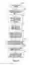 Fig. 09 - Knowledge-based automatic image segmentation