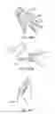 Fig. 35 - Utilizing image based light solutions for augmented or virtual reality