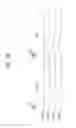 Fig. 05 - VOLATILE MEMORY DEVICE, MEMORY MODULE INCLUDING THE SAME, AND METHOD OF OPERATING MEMORY MODULE