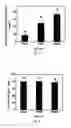 Fig. 07 - Composite materials with magnetically aligned carbon nanoparticles having enhanced electrical properties and methods of preparation