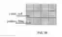 Fig. 40 - PASSIVATED UPSTANDING NANOSTRUCTURES AND METHODS OF MAKING THE SAME