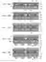 Fig. 09 - SEMICONDUCTOR LIGHT EMITTING DEVICE AND METHOD FOR MANUFACTURING SAME
