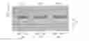 Fig. 01 - ORGANIC ELECTROLUMINESCENT DEVICE AND PROCESS FOR PREPARING THE SAME