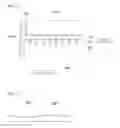 Fig. 02 - Gasket for fuel cell