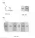 Fig. 02 - Polymer composition with olefinic groups for stabilization of lithium sulfur batteries