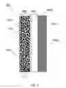 Fig. 09 - Polymer composition with olefinic groups for stabilization of lithium sulfur batteries